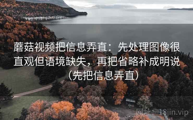 蘑菇视频把信息弄直：先处理图像很直观但语境缺失，再把省略补成明说（先把信息弄直）